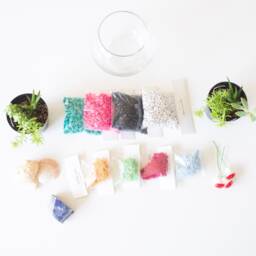 Diy Kit, Terrarium Building Complete Succulent Planter Kit - thumbnail 3