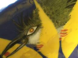 Sunflower, Bee Pie - thumbnail 1