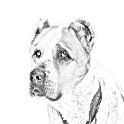Central Asian Shepherd Dog - Wooden Stand For Candles/Pens With The Image Of A Dog New Collection - thumbnail 2