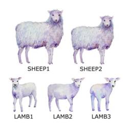 Personalised Sheep & Lambs Family Print Custom Quote Wall Art Gift - thumbnail 2