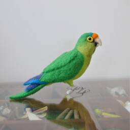 Mr. Orange Fronted Conure, Needle Felted Bird Fiber Sculpture