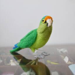 Mr. Orange Fronted Conure, Needle Felted Bird Fiber Sculpture - thumbnail 2