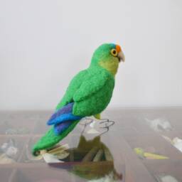 Mr. Orange Fronted Conure, Needle Felted Bird Fiber Sculpture - thumbnail 3