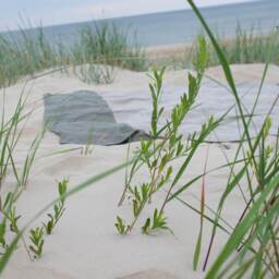 Color Block Beach Blanket Made Of Softened Linen - thumbnail 2