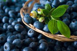 Blueberry Tart Strong Scented Large Votive Candle - thumbnail 2