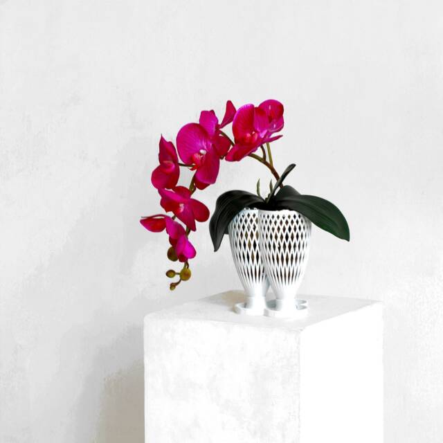 Eve Hanging Orchid Planter - image 1