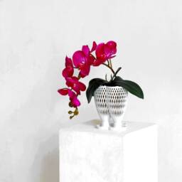 Eve Hanging Orchid Planter - thumbnail 1