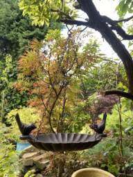Hanging Metal Bird Bath/Feeder Water Dish Table Tray Garden Decoration - thumbnail 1