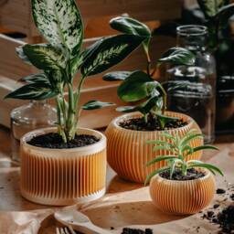 Medium Planter 71P02.500.oak/3D Printed Plant Pot Ecofriendly & Geometric Minimalist Modern - thumbnail 3
