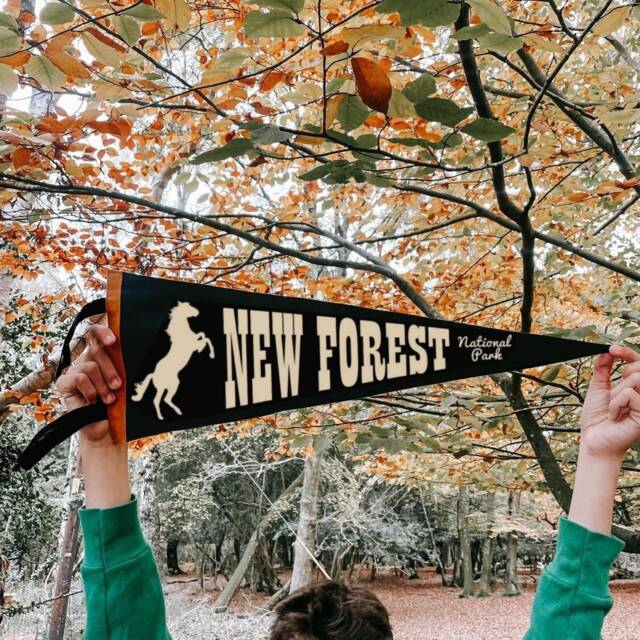 New Forest Pennant Flag National Park Souvenir Wall Decor/Burley Lyndhurst Brockenhurst - image 1