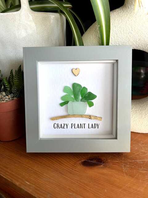 Plant Seaglass Framed Gift, Crazy Plant Lady, Love Grows Here, Lover Succulent Pebble Art, Friendship Gift - image 1