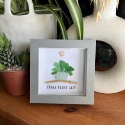 Plant Seaglass Framed Gift, Crazy Plant Lady, Love Grows Here, Lover Succulent Pebble Art, Friendship Gift - thumbnail 3