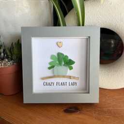 Plant Seaglass Framed Gift, Crazy Plant Lady, Love Grows Here, Lover Succulent Pebble Art, Friendship Gift - thumbnail 2