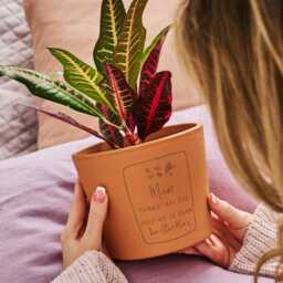 Personalised Mother's Day Flower Pot Gift - Engraved Terracotta Planter - Plant - thumbnail 2