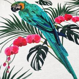 Tropical Parrot Velvet Cushion Cover Set Double-Sided Floral Print - thumbnail 2