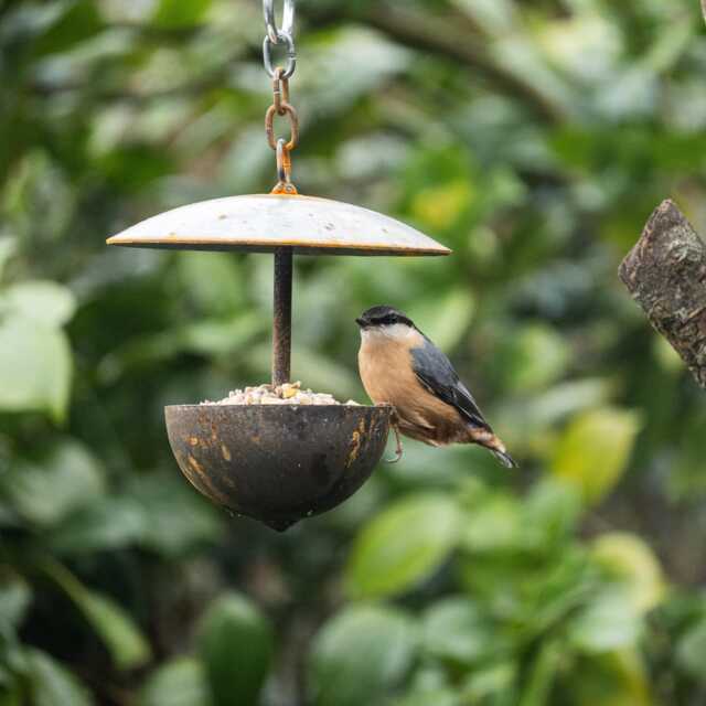 Outdoor Metal Hanging Bird Feeder - image 1