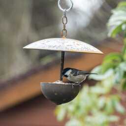 Outdoor Metal Hanging Bird Feeder - thumbnail 2