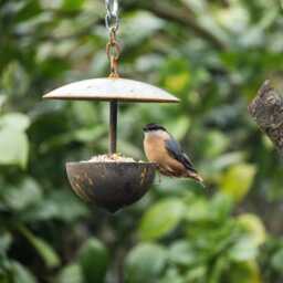 Outdoor Metal Hanging Bird Feeder - thumbnail 1
