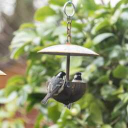 Outdoor Metal Hanging Bird Feeder - thumbnail 3