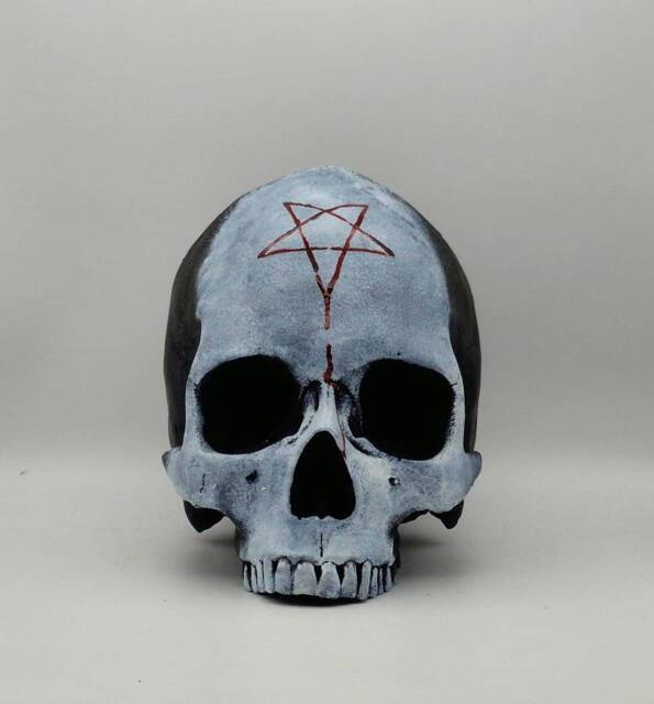 Two Tone. Human Skull Replica . Realistic Plaster Of Paris Life Size Human Replica - image 1