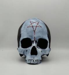 Two Tone. Human Skull Replica . Realistic Plaster Of Paris Life Size Human Replica - thumbnail 1