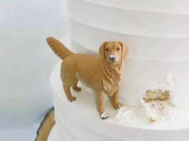 Personalized Pet Cake Topper, Polymer Clay Dog Figurine, Anniversary Gift - image 1