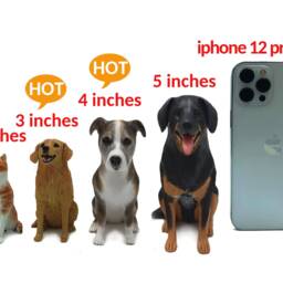 Personalized Pet Cake Topper, Polymer Clay Dog Figurine, Anniversary Gift - thumbnail 4