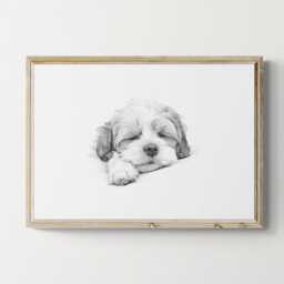 Sleeping Shih Tzu Print, Dog Vintage Sketch, Farmhouse Decor, Gifts - thumbnail 1