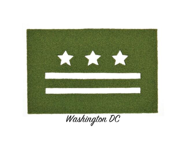 D.c. Synthetic Grass Doormat - Rug Wall Decor - image 1
