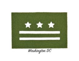 D.c. Synthetic Grass Doormat - Rug Wall Decor - thumbnail 1