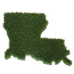 D.c. Synthetic Grass Doormat - Rug Wall Decor - thumbnail 4