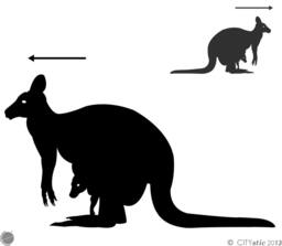 Animal Wall Decal Kangaroo With Baby in Vinyl For Kid's Bedroom - thumbnail 1