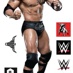 Wwe - The Rock Wrestler Decal 25 + Bonus Wall Sticker Set - thumbnail 2