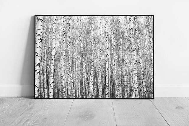 Monochrome Birch Forest Framed Wall Art Abstract Nature Print For Nordic, Coastal & Bohemian Decor - image 1