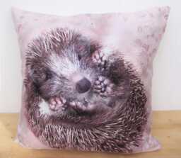 Hedgehog Cushion, Handmade Art Print Choice Of Cover Only Or + Pad - thumbnail 1