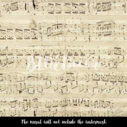 Chopin Polonaise Removable Wallpaper, Repositionable, Self Adhesive, Wall Decor, Mural, Reusable, Classic, Mural #89 - thumbnail 3
