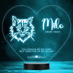 Cat Pet Loss Memorial Forever in My 9 Personalised Gift Colour Night Light - thumbnail 1