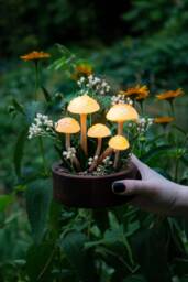 Handmade Mushroom Night Light With Flowers - Forest Fairy Decor