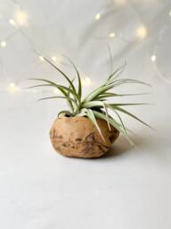 Pebble Planter, Pebble Vase, Ceramic Planter, Pottery Organic Shaped Air Plant Holder - thumbnail 1