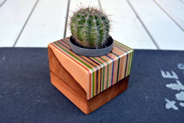 Recycled Skateboard Cactus Planter Unique Desk Decor - 75x75mm - image 1