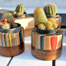 Recycled Skateboard Cactus Planter Unique Desk Decor - 75x75mm - thumbnail 4