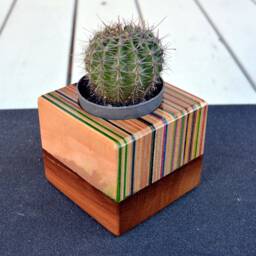 Recycled Skateboard Cactus Planter Unique Desk Decor - 75x75mm - thumbnail 3