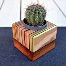 Recycled Skateboard Cactus Planter Unique Desk Decor - 75x75mm - thumbnail 2