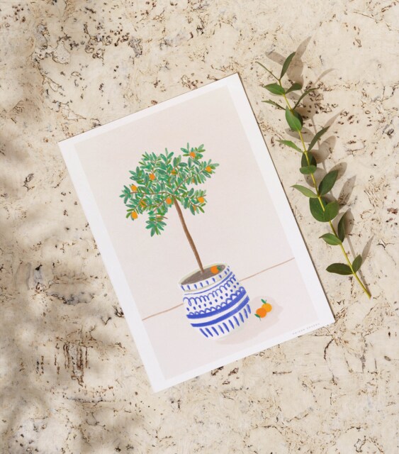 Illustration Orange Tree. Of An Orange Tree in A Pot. Postcard & Poster - image 1