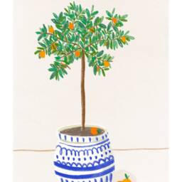 Illustration Orange Tree. Of An Orange Tree in A Pot. Postcard & Poster - thumbnail 2