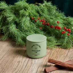 Rosewood Lux Candle 12Oz Ceramic Jar, Coconut Apricot Wax - thumbnail 4
