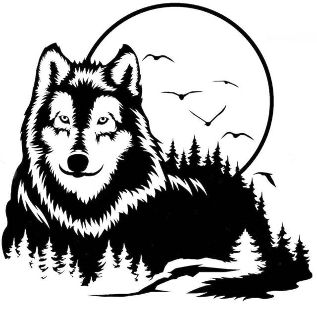 Wolf Head Car Van Bonnet Vinyl Side Sticker Wall Art Hood Graphic Window Door Sign Motorhome Campervan Decal