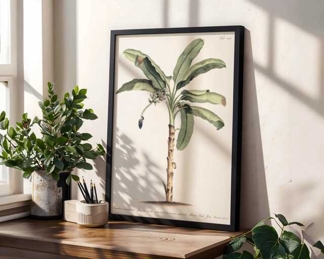Vintage Palm Botanical Wall Art Poster - Antique Plant Illustration Print - image 1