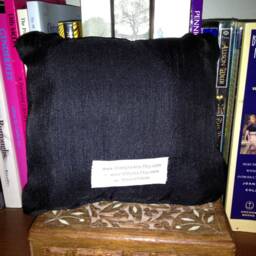 Sweet Sparrow Pillow - thumbnail 4