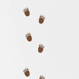 Bear Footprint Wall Decal Pattern Wood Animal Feet Sticker Kids Room Wall Nursery Bedroom Wallpaper Vinyl Decals Home Decor Stickers - thumbnail 2